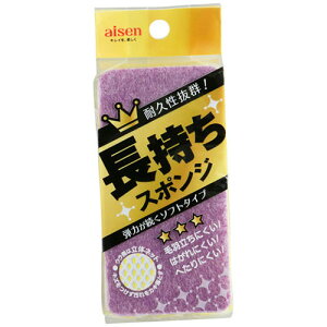 y10Zbgz ACZ X|W \tg ASNKY501X10|G݁Ezr[ECeA Lb`G 