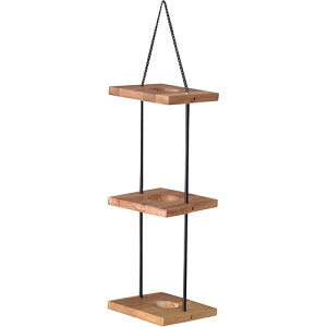 J nMOv^[3i uE ASNTTZ-313|G݁Ezr[ECeA G Gݕi