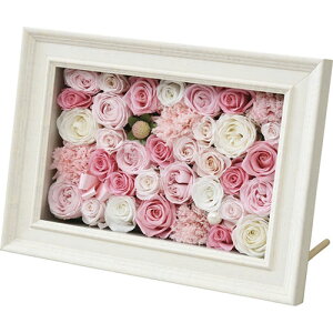 vUAW(t[^Cv) ASNC6023615|G݁Ezr[ECeA CeA CeAEu