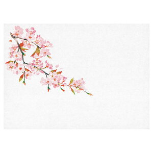 }R[ p Ɩp ԕۑN() (100) ASNyamaco64560|G݁Ezr[ECeA Lb`G HEJg[