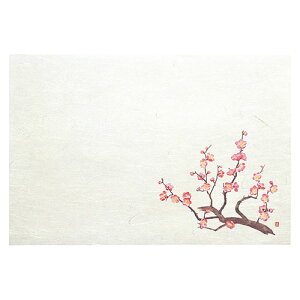 }R[ p Ɩp 3_a΂܂ lG ~ (50) ASNyamaco64470|G݁Ezr[ECeA Lb`G HEJg[