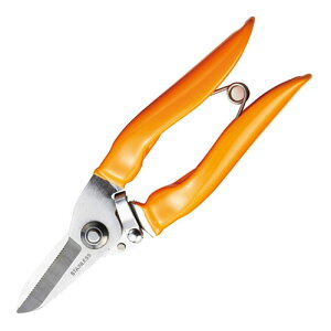 XeX\ ASNK60512916|G݁Ezr[ECeA G [EMLp