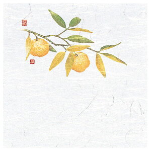 }R[ p Ɩp 4OPΕ~ Mq (100) ASNyamaco65120|G݁Ezr[ECeA Lb`G HEJg[