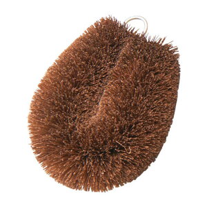 }R[ p Ɩp L()킵 S ASNyamaco04400|G݁Ezr[ECeA Lb`G 