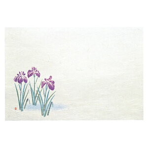 }R[ p Ɩp 3_a΂܂ lG Ҋ (50) ASNyamaco64471|G݁Ezr[ECeA Lb`G HEJg[