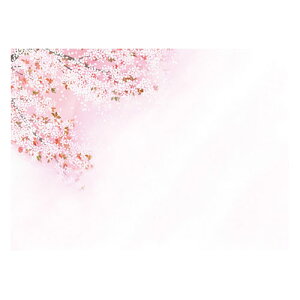 }R[ p Ɩp 3lGʂ܂ ԉ(͂Ȃ݂)  (100) ASNyamaco66451|G݁Ezr[ECeA Lb`G HEJg[