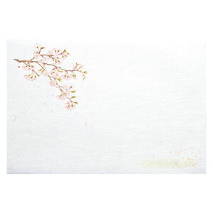 }R[ p Ɩp 3_a΂܂ ͒W  (100) ASNyamaco65201|G݁Ezr[ECeA Lb`G HEJg[