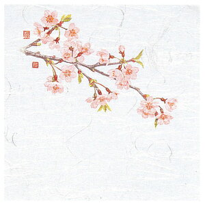 }R[ p Ɩp 4OPΕ~  (100) ASNyamaco65111|G݁Ezr[ECeA Lb`G HEJg[