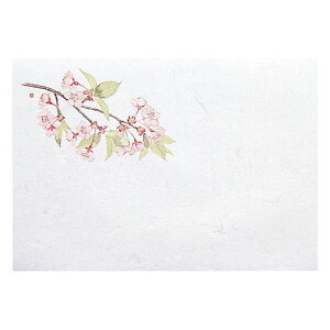 }R[ p Ɩp 1茳܂ lG  (100) ASNyamaco64951|G݁Ezr[ECeA Lb`G HEJg[