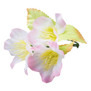 }R[ p Ɩp lG̉Ԃ  (100) ASNyamaco64251|G݁Ezr[ECeA Lb`G HEJg[