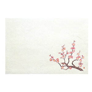 y5Zbgz }R[ Ă܂Ђ܍H[  lG ĂȂZbg ~ ASNyamaco88756X5|G݁Ezr[ECeA Lb`G HEJg[