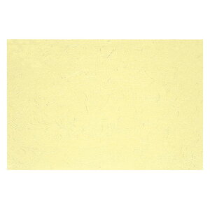 }R[ p Ɩp 3_a܂ N[_n (100) ASNyamaco68102|G݁Ezr[ECeA Lb`G HEJg[