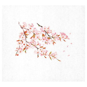 }R[ p Ɩp ԕۑN() (100) ASNyamaco64882|G݁Ezr[ECeA Lb`G HEJg[