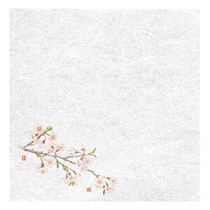 }R[ p Ɩp VEG򏑎  (100) ASNyamaco65392|G݁Ezr[ECeA Lb`G HEJg[