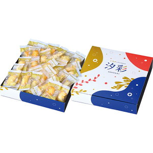  ЂƂ  CV}EzET_EĂo`傤(110g) ASNL9107514|Hi َq