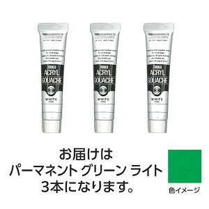 【3本×5セット】 ターナー色彩 アクリルガッシュ 20ml 42パーマネントGRライト ASNTURNER108447X5|雑貨・ホビー・インテリア ホビー アート・手芸・ハンドメイド