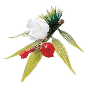 }R[ p Ɩp v`t[ |~ (200) ASNyamaco63843|G݁Ezr[ECeA Lb`G HEJg[