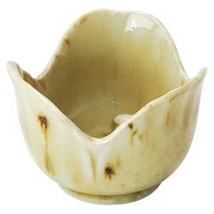 y10Zbgz }R[ p Ɩp ObRt ASNyamaco29009X10|G݁Ezr[ECeA Lb`G HEJg[