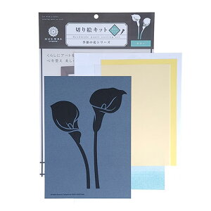 y5Zbgz gXgveBO G߂̉ԃV[Y(Ft^Cv) J[ ASNM-02X5|G݁Ezr[ECeA zr[ A[gE|EnhCh