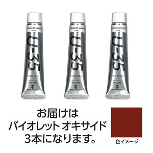 【3本×5セット】 ターナー色彩 U35 バイオレットオキサイド20ml ASNTURNER108690X5|雑貨・ホビー・インテリア ホビー アート・手芸・ハンドメイド