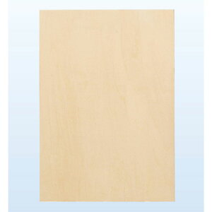 �y5�Z�b�g�z ARTEC �p�l�� A4 �˘g ASNATC130078X5|�G�݁E�z�r�[�E�C���e���A �G�� �G�ݕi