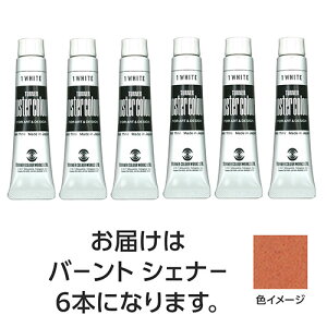 ターナー色彩 ポスターカラー 11ml 52 バーントシェナー 6個 ASNTURNER108798|雑貨・ホビー・インテリア ホビー アート・手芸・ハンドメイド