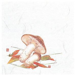 }R[ p Ɩp 4OPΕ~  (100) ASNyamaco65118|G݁Ezr[ECeA Lb`G HEJg[