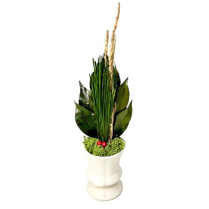 A&K Ԋtr_ vU[uhH ȃXy[Xŏ EւsvŌoϓI ԊƃZbg ASNKJM-001FV|G݁Ezr[ECeA G dEE_