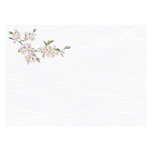 }R[ p Ɩp 3_a΂܂ ԍ(͂Ȃ)  (100) ASNyamaco66429|G݁Ezr[ECeA Lb`G HEJg[