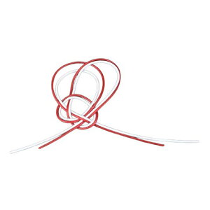 }R[ p Ɩp  ς茋 (100) ASNyamaco26229|G݁Ezr[ECeA Lb`G HEJg[