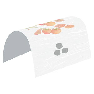 }R[ p Ɩp h[| ` (100) ASNyamaco65389|G݁Ezr[ECeA Lb`G HEJg[