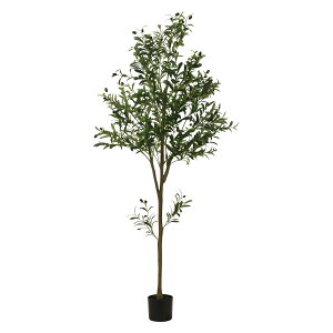 tFCNO[ I[u 180cm WCg[HJB41122]|CeAK[f CeAG K[f&AEghAEXPO K[fEK[f tFCNO[ rOyCeAO[ 