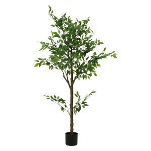 �t�F�C�N�O���[�� �t�B�J�X 160cm �W���C���g[HJB41123]|�C���e���A�K�[�f�� �C���e���A�G�� �K�[�f��&�A�E�g�h�AEXPO �K�[�f���E�����K�[�f�� �t�F�C�N�O���[�� ���r���O�y�C���e���A�O���[�� 