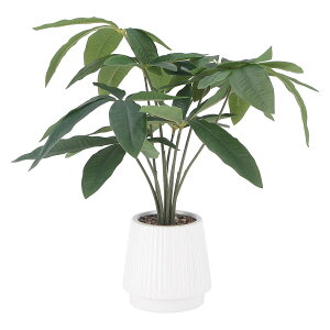 tFCNO[ pL Z~bN|bg[HJB41128]|CeAK[f CeAG K[f&AEghAEXPO K[fEK[f tFCNO[ rOyCeAO[ 