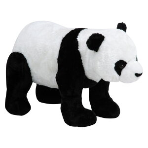 p_ B3851|39i82479j[HJB47304]| IuWF CeAG ʂ xr[LbY qELbY[ fBXvC CeA l` ς zCg