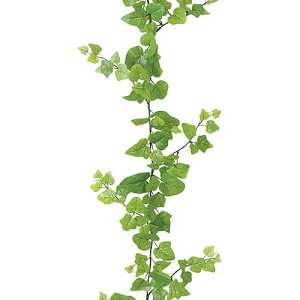 180cm CgO[JK[ACr[K[h(234/C[) [ONSLEGA7632] |lHϗtA  O[   t fR[V  Cxg p[eB[ t[AW