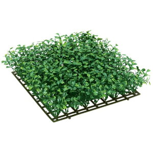 25cm {bNXEbh}bg [ONSLEMT7461]|lHϗtA  t[ tFCNO[   t fR[V  Cxg p[eB[ t[AWg ԍ CeA X