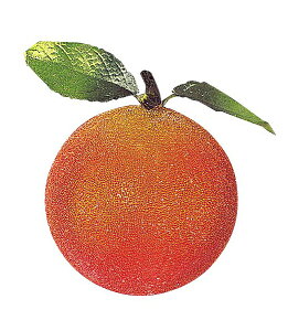 80mm tXgIWi6j [ONSDIFV6751] | tFCN lHϗtA NX}X  fR[V K[h I[ig  Cxg p[eB[ t[AWg N