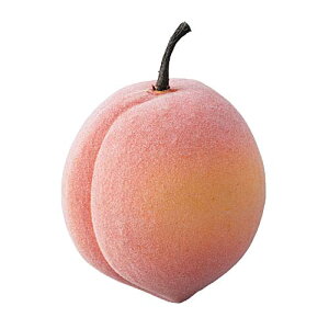 90mmtbVs[` [ONSDIFV71030] |tFCNt[h HiTv vJ fBXvC fR[V 蕨  t   Cxg p[eB[ t[AWg Xܑ 