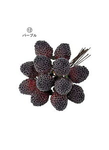 25mm tXg[Yx[(C[t)i24{j [ONSPABE6571] | tFCN lHϗtA NX}X  fR[V K[h I[ig  Cxg p[eB[ t[