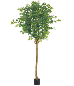 210cm EhtBJXc[(i`gN)[ONSLETR7642] G}Xv[v[g ϕs  |lHϗtA tFCNO[   t Xܑ fBXvC 