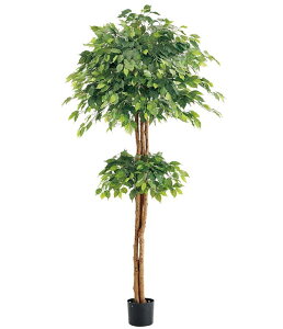 210cm _utBJXc[(i`gN)[ONSLETR7639] G}Xv[v[g ϕs  |lHϗtA tFCNO[   t Xܑ fBXvC 