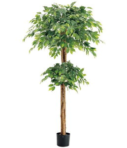 180cm _utBJXc[(i`gN)[ONSLETR7638] G}Xv[v[g ϕs  |lHϗtA tFCNO[   t Xܑ fBXvC 