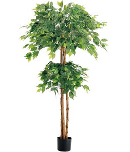 150cm _utBJXc[(i`gN)[ONSLETR7637] G}Xv[v[g ϕs  |lHϗtA tFCNO[   t Xܑ fBXvC 