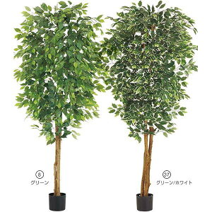 210cm tBJXc[(i`gN)[ONSLETR7635] G}Xv[v[g ϕs  |lHϗtA tFCNO[   t Xܑ fBXvC  