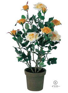 50cm [YubV|bg[ONSFLGD7650] |lHϗtA A[gt[  t[ tFCNO[  t fR[V  Cxg p[eB[ t[AWg Xܑ 