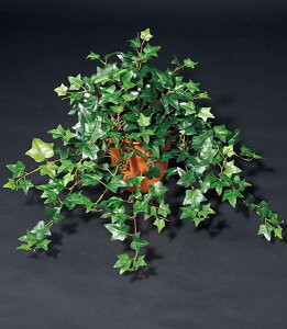 55cm CObVACr[ubV(222) [ONSLEBU7600] | t[ tFCN lHϗtA [t  fR[V Cxg p[eB[ t[AWg Xܑ tFCNO