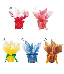 15cm fR|bg(5) [ONSPAPO7351] |Aؔ lHϗtA A[gt[  tFCNO[  t  fR[V  Cxg p[eB[ Xܑ x[X |bg fBXvC 