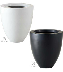 X^CEh|bg(L) [ONSPAPL7963]  |Aؔ lHϗtA A[gt[  tFCNO[  t  fR[V  Cxg p[eB[ Xܑ x[X |b