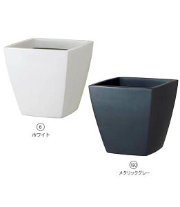 33cm A[o|bg(AS35^) [ONSPAPO7827A]  |lHϗtA A[gt[  tFCN  t fR[V  Cxg p[eB[ t[AWg CeA X